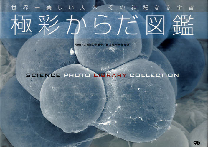 2025年最新】Yahoo!オークション -science londonの中古品・新品・未