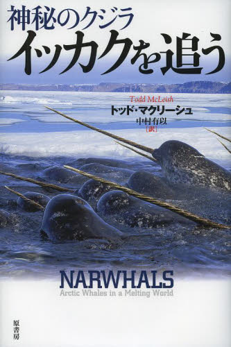 神秘のクジライッカクを追う トッド・マクリーシュ／著　中村有以／訳の商品画像｜ナビ