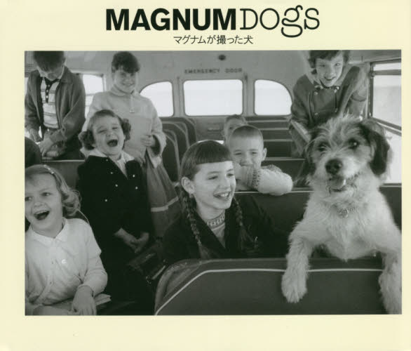 ＭＡＧＮＵＭ　ＤＯＧＳ　マグナムが撮った犬 マグナム・フォト／著　藤井留美／訳 アート写真集その他の商品画像