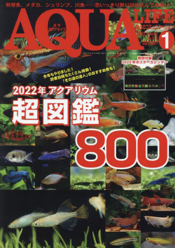 月刊アクアライフ ２０２２年１月号 （エムピージェー）