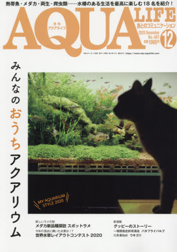 月刊アクアライフ ２０２０年１２月号 （エムピージェー） ペット、動物雑誌の商品画像