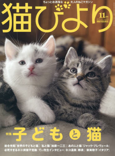 猫びより ２０１９年１１月号 （辰巳出版） ペット、動物雑誌の商品画像