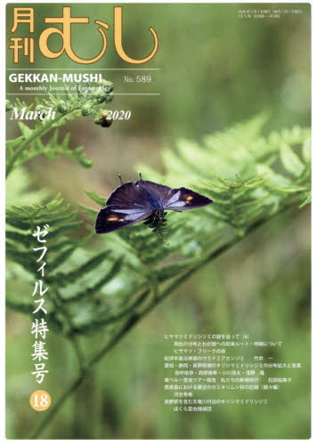 月刊むし ２０２０年３月号 （むし社） 自然科学雑誌の商品画像