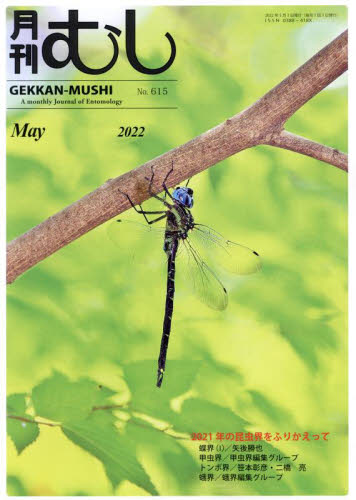 月刊むし ２０２２年５月号 （むし社） 自然科学雑誌の商品画像