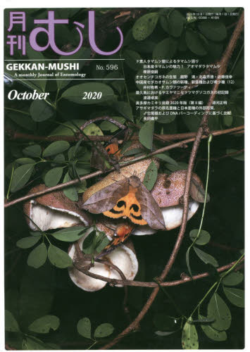月刊むし ２０２０年１０月号 （むし社） 自然科学雑誌の商品画像