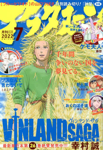 アフタヌーン ２０２２年７月号 （講談社） コミック、アニメ雑誌その他の商品画像