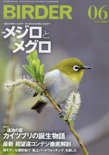 BIRDER 2019年6月号 （文一総合出版） アウトドア雑誌 - 最安値・価格比較 - Yahoo!ショッピング｜口コミ・評判からも探せる